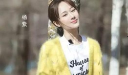 娱乐圈爆料客杨紫,娱乐圈爆料客的蜕变之路