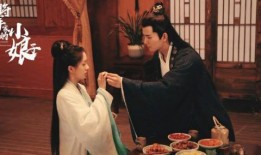 将军家的小娘子电视剧在线观看,穿越时空的甜蜜爱情之旅